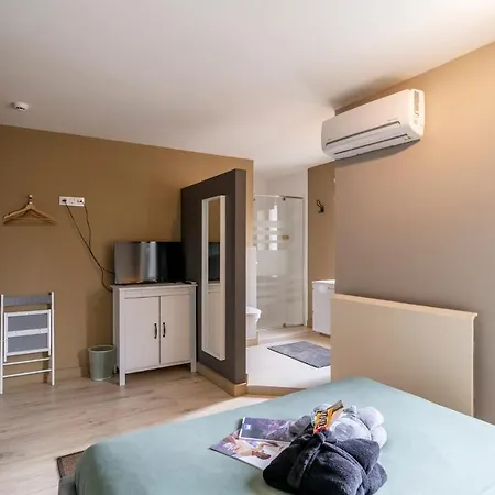 Maas&mechelen Massage & Wellness 3*