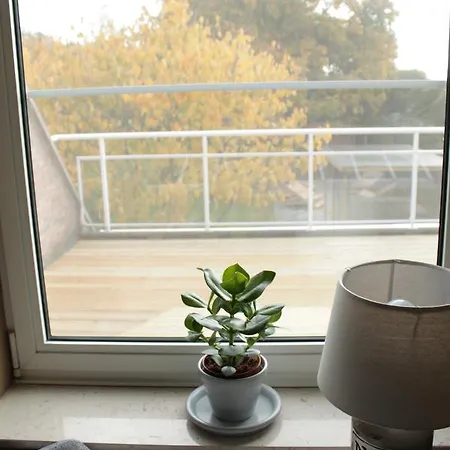 Maas&mechelen Massage & Wellness 住宿加早餐酒店 马斯梅赫伦
