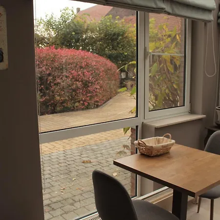 Maas&mechelen Massage & Wellness
